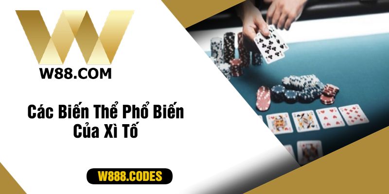 Các Biến Thể Phổ Biến Của Xì Tố