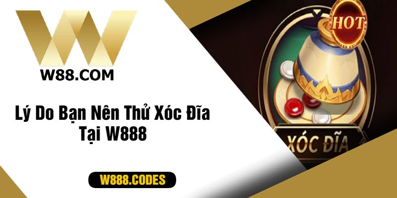 Lý Do Bạn Nên Thử Xóc Đĩa Tại W888