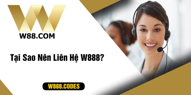 Tại Sao Nên Liên Hệ W888?